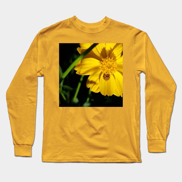 Orange Asian Lady Beetle Yellow Cosmos Long Sleeve T-Shirt by MrGreen47